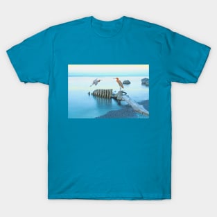 Reddish Egrets at the Coast T-Shirt